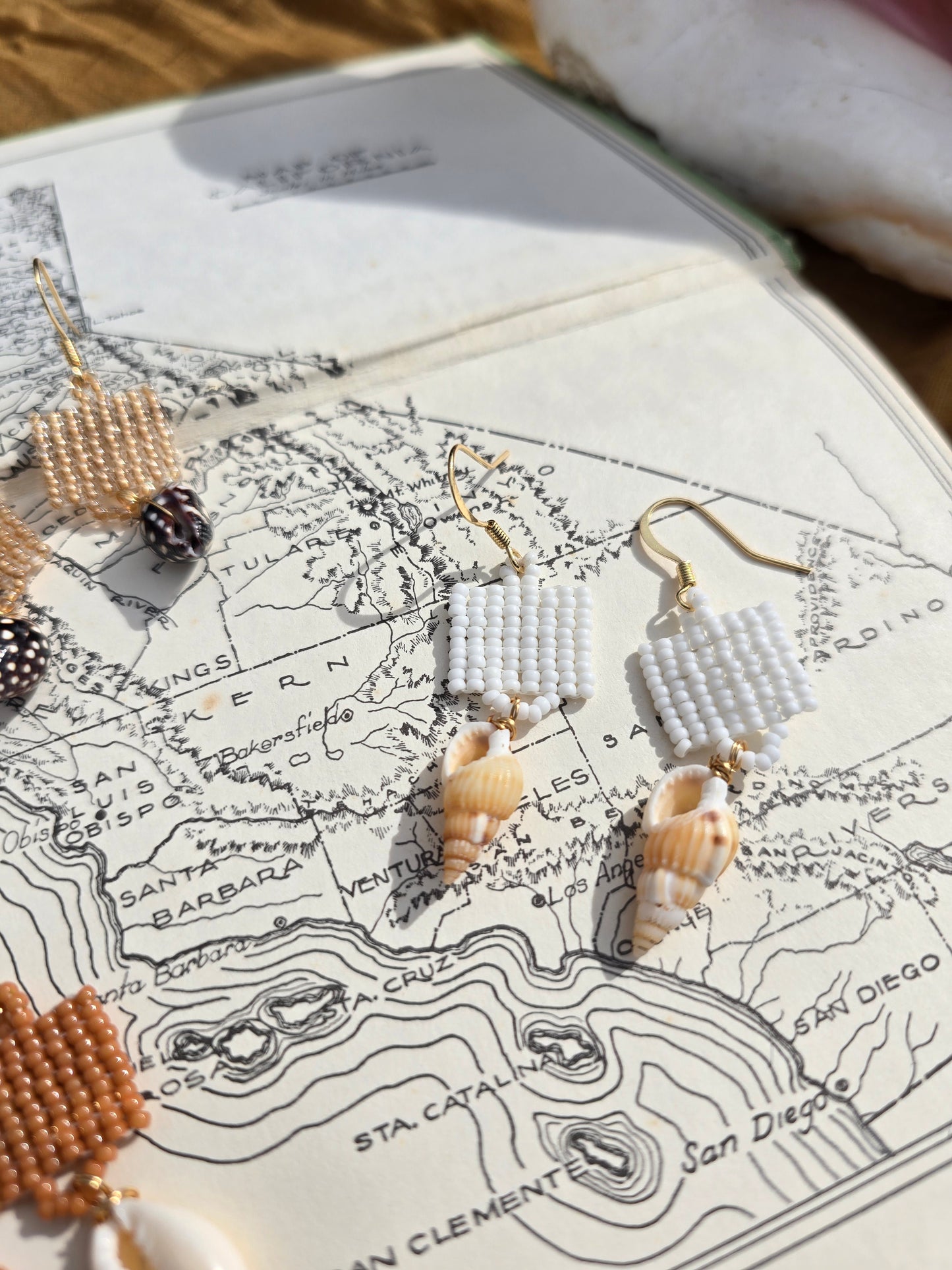 Shell Drop Earrings