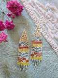 Painted Desert Earrings