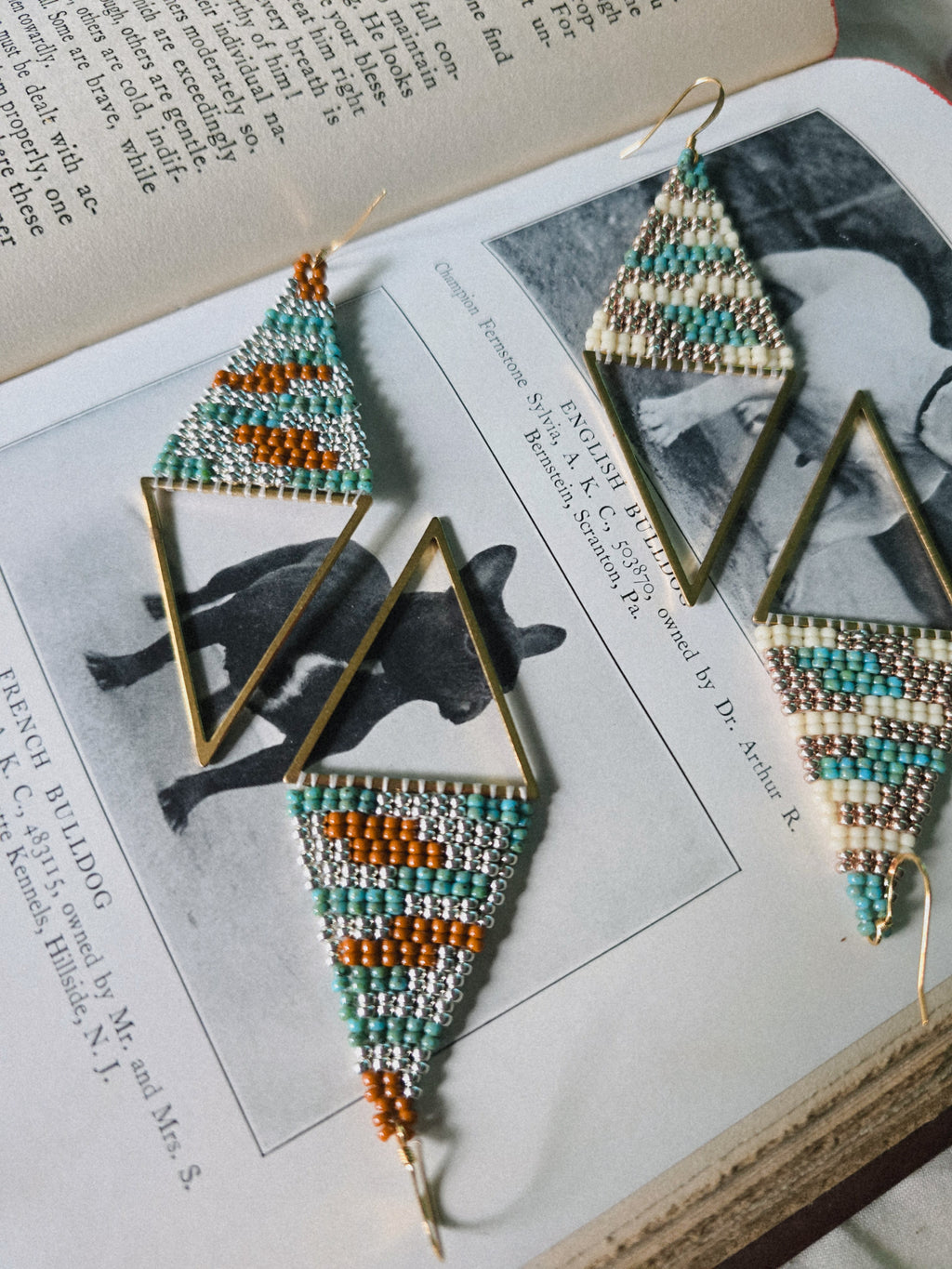 Mountain Plains Beaded Earrings