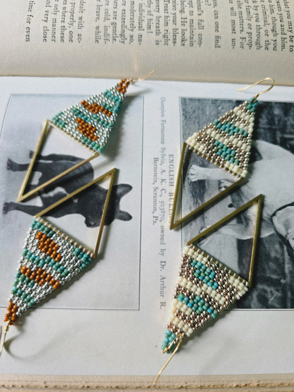 Mountain Plains Beaded Earrings
